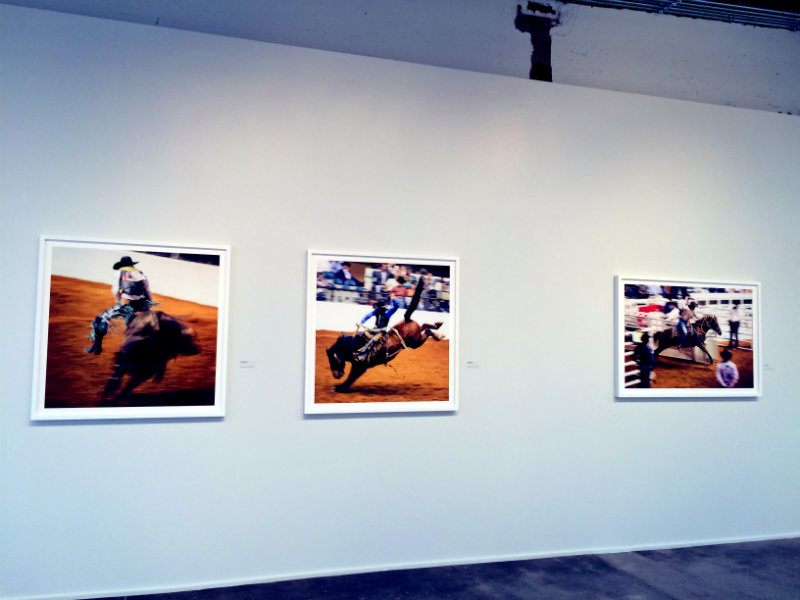 Rodeo photographs