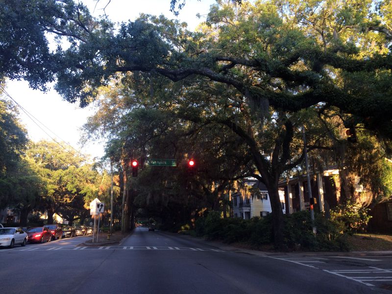Driving in Savannah