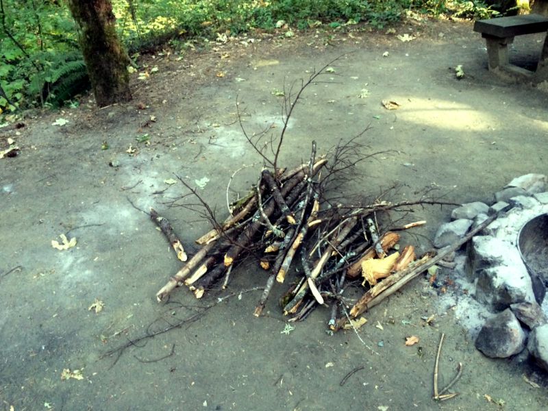 Campfire logs