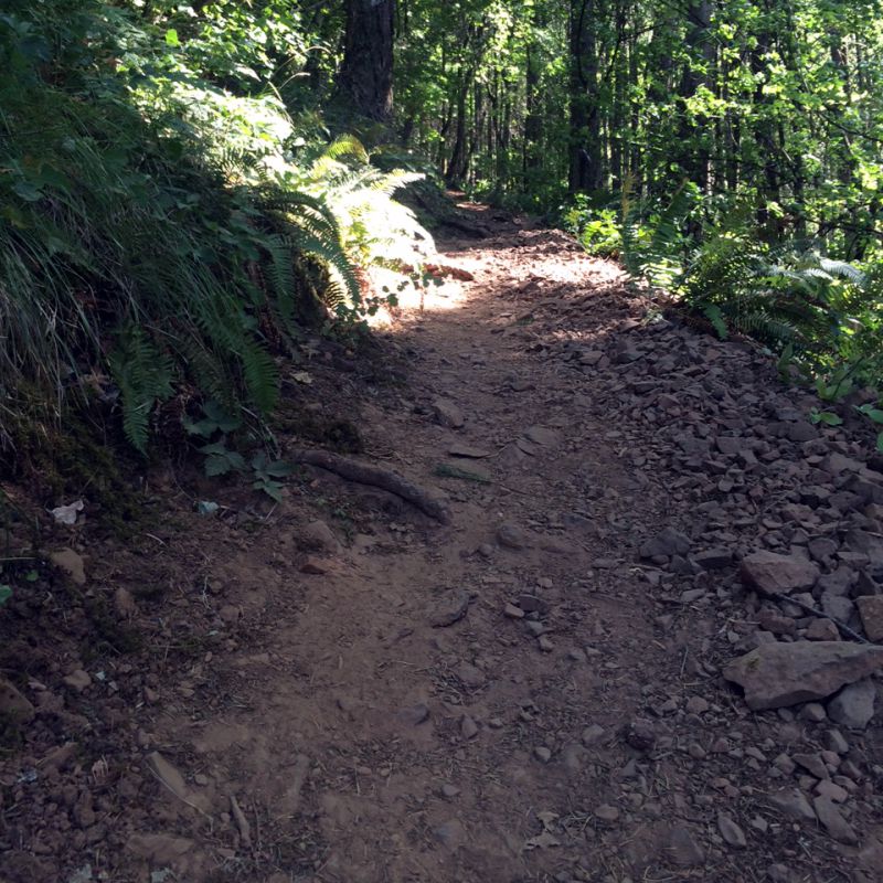 Starvation Creek trail